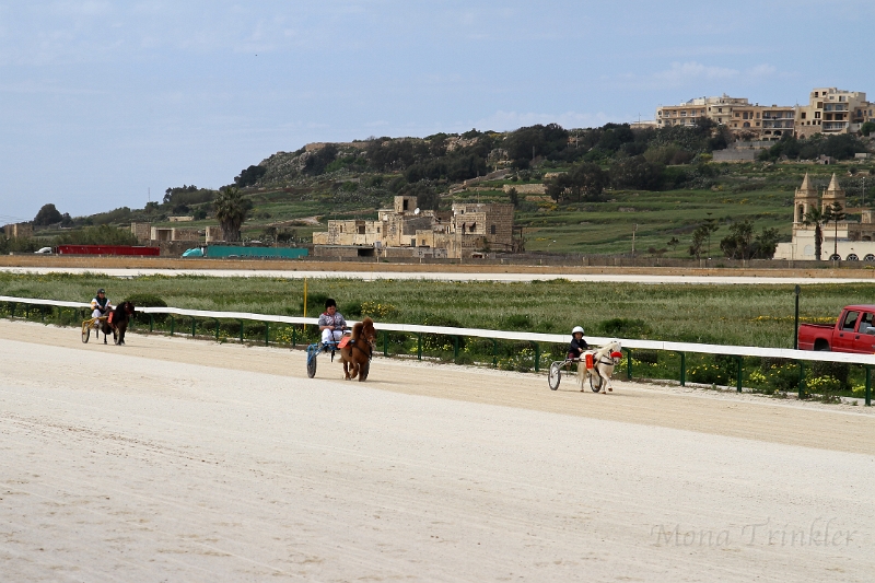 2015_Race 1 - 01.JPG